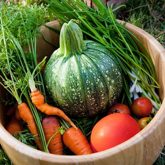 homegrown vegetables